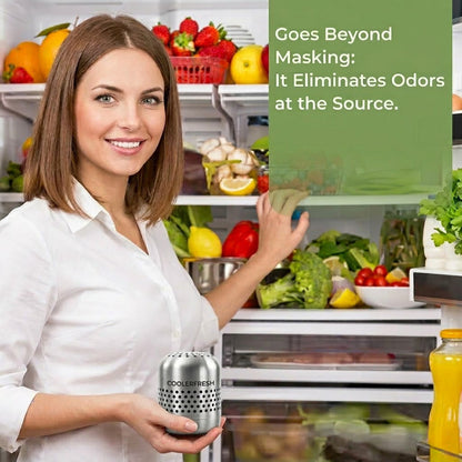 FreshFridge – Fridge Odor & Bacteria Purifier